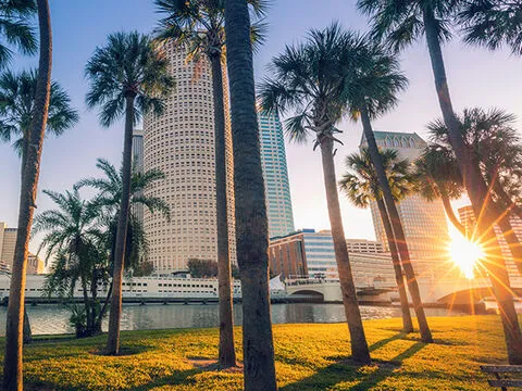 Undergraduates Open Day: Tampa - October