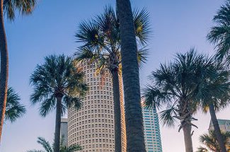 A building surrounded by Caribbean palm trees